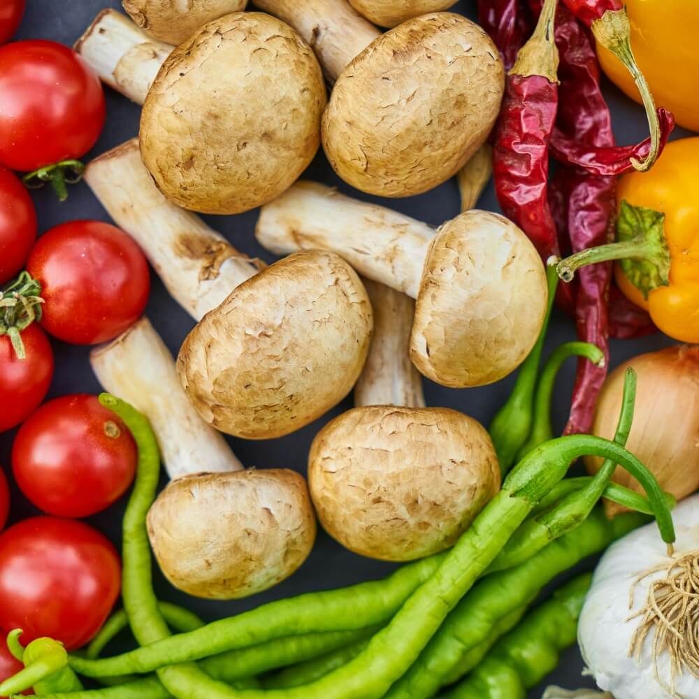 Programs 3 Nutrition results