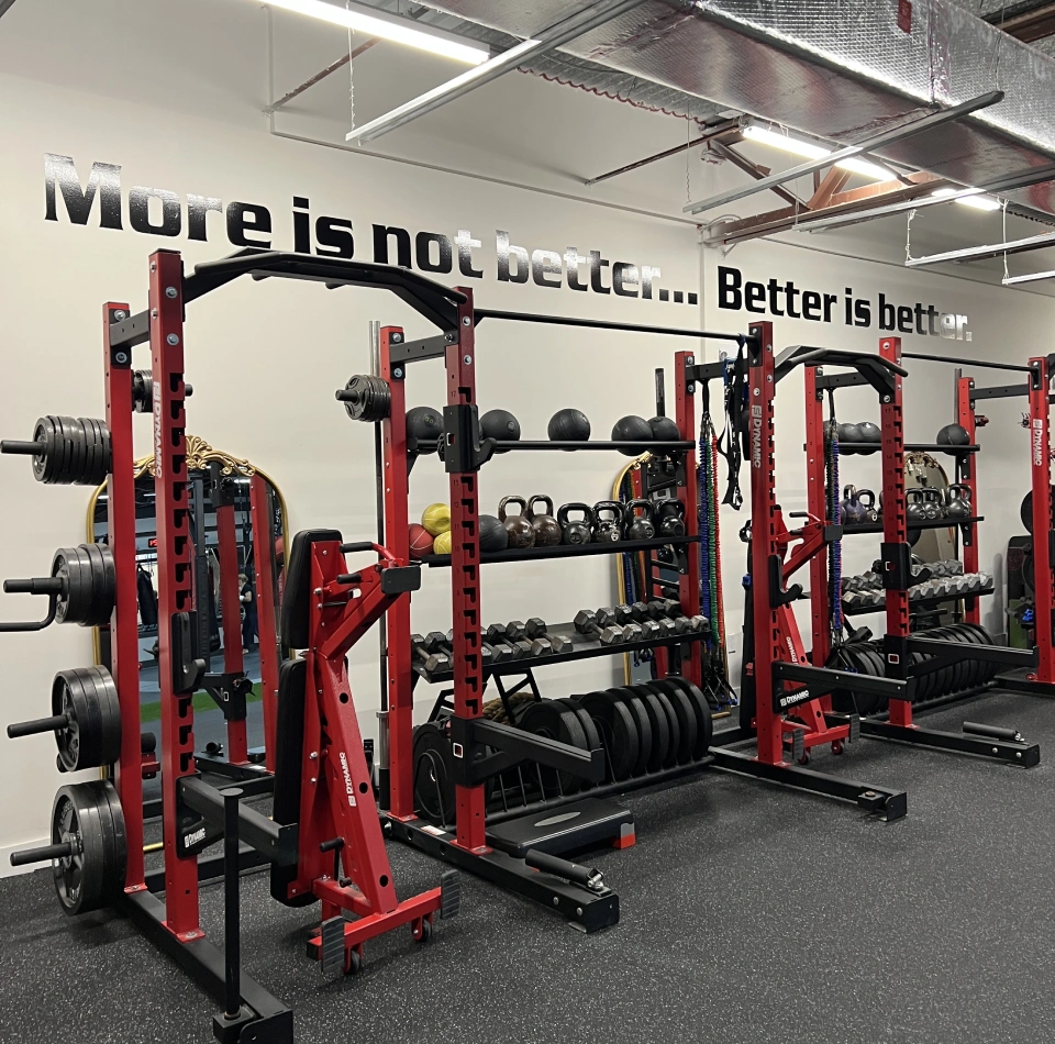 Programs 1 Raw Kickboxing and Fitness Weight Racks